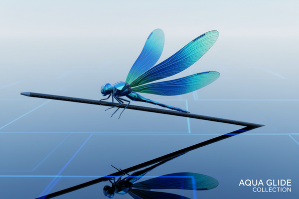 Dragonfly Stuff