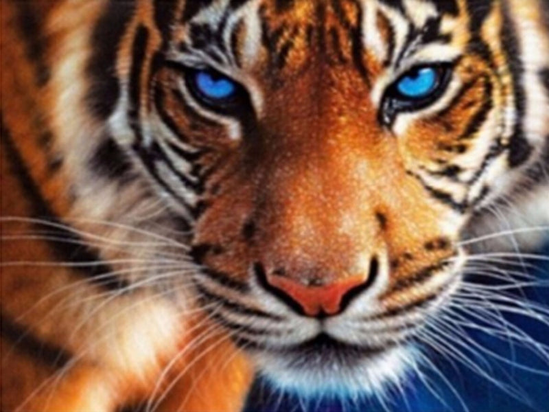 Diamond Painting and Cross Stitch Art Supplies