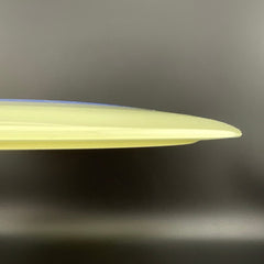 Proto Glow Champion Tern
