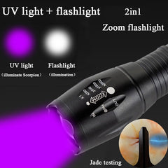 UV LED Flashlight Blacklight 2-in-1 Pocket Torch