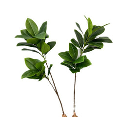Realistic Magnolia Leaves and Branches for Home Decor