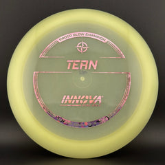 Proto Glow Champion Tern