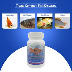 Fish Dox 100mg Capsules for Aquarium Fish – 30 Count – Water Care Support