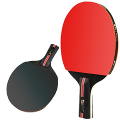 Beginner Ping Pong Paddle Set with 2 Paddles and Balls