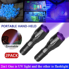 UV LED Flashlight Blacklight 2-in-1 Pocket Torch