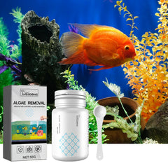 Dealgal Lichen, Aquarium Cleaning Agent Algae Removal Moss Fish Tank Moss Removal Agent Algae Removal From Green Water