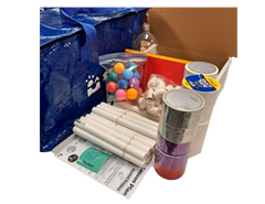Rocket Project (x15 projects)