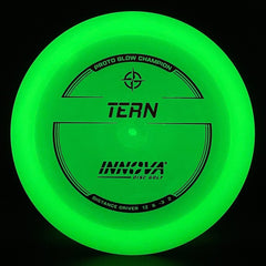 Proto Glow Champion Tern