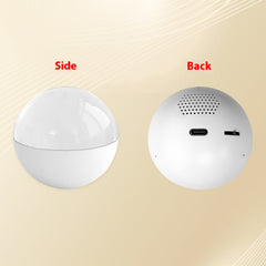 Electronic 3D Video Crystal Ball Player