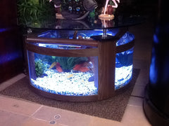 WARRANTY INCLUDED! 55 gallon GLASS round circle table aquarium fish tank setup- MAPLE