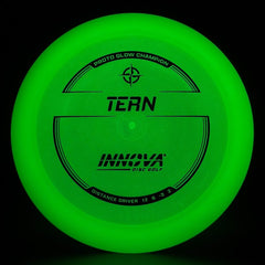 Proto Glow Champion Tern