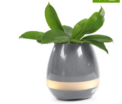 Musical Flower Pot - LED Bluetooth Night Light Speaker