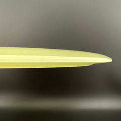 Proto Glow Champion Tern
