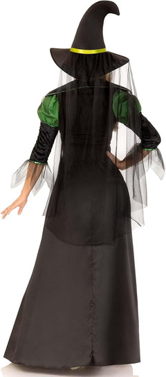 Storybook Witch Costume - Women's 2-Piece Halloween Dress with Hat and Veil