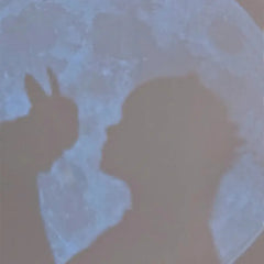 Moon Galaxy Projection Lamp for Bedroom Decor (1/16pcs)