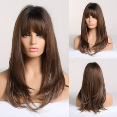Brown Grey Long Wig