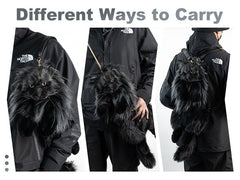 Maine Coon Cat Backpack – Realistic Cat Stylish Daypack