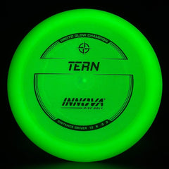 Proto Glow Champion Tern