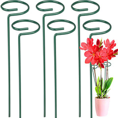 Metal Plant Support Stake for Orchids and Plants