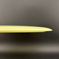 Proto Glow Champion Tern