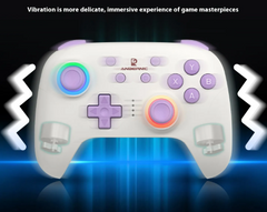 RGP01 Wireless Multi-Platform Gamepad