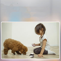 Smart Pet Robot Camera