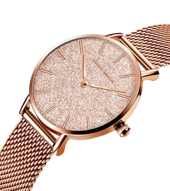 HANNAH MARTIN Watches for Women Analog Women's Watch with Stainless Steel Expansion Band Minimalist Slim Dial 30M Waterproof Ladies Dress Wristwatch for Casual Daily Business