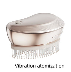Electric Hair Care Spray Massage Comb