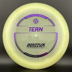 Proto Glow Champion Tern
