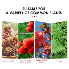Yegbong Nutrient Release Tablets for Plant Growth