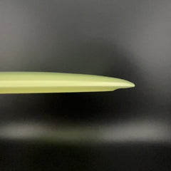 Proto Glow Champion Tern