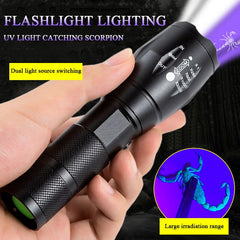 UV LED Flashlight Blacklight 2-in-1 Pocket Torch