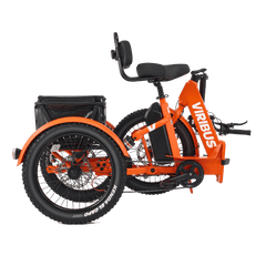 Viribus FC1 Folding Electric Tricycle