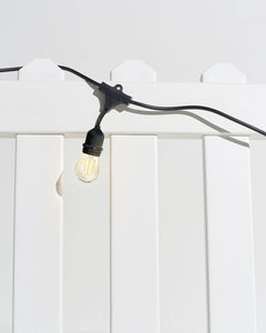 Ambience Pro LED Plug-in String Lights