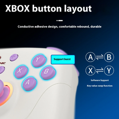RGP01 Wireless Multi-Platform Gamepad