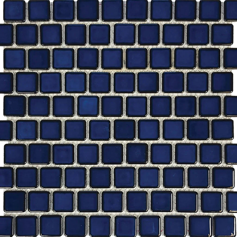 Aquatica Cobalt Blue 1