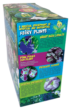 Fanciful Fairy Garden Biosphere Terrarium