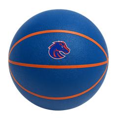 Color Splash QT BNZ Basketball