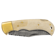 3.75" Damascus Steel Knife with Leather Sheath with Bone