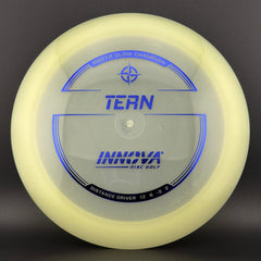 Proto Glow Champion Tern