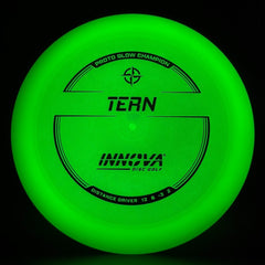 Proto Glow Champion Tern