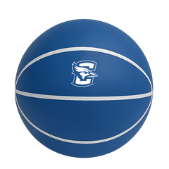 Color Splash QT BNZ Basketball