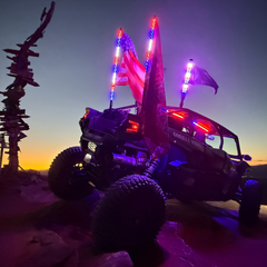 LED Whip Chunky Monkey Apex Whip 22" Pair
