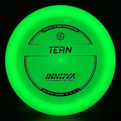 Proto Glow Champion Tern