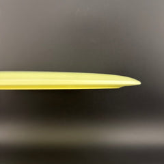 Proto Glow Champion Tern