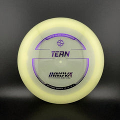 Proto Glow Champion Tern