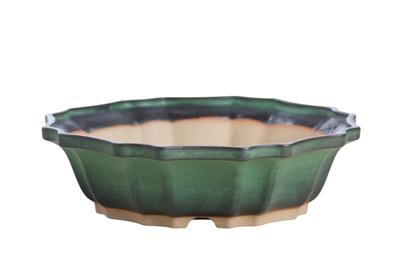 Willow Bonsai Ceramics Flower Design Bonsai Pot 10 Inch – Elegant Ceramic Bonsai & Succulent Planter, High‑Fired Frost‑Proof Stoneware with Drainage & Wiring Holes, Handmade in USA (Avocado)