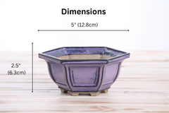 Willow Bonsai Ceramics Hexagonal Windowed Bonsai Pot 5 Inch – Semi‑Cascade Planter, High‑Fired Frost‑Proof Stoneware with Drainage & Wiring Holes, Handmade in USA (Purple)