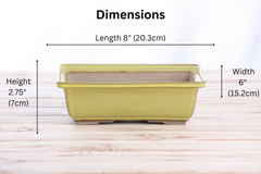 Willow Bonsai Ceramics Rectangle Bonsai Pot 8 Inch – Lower‑Profile Rectangular Ceramic Bonsai & Succulent Planter with Accentuated Rim, High‑Fired Frost‑Proof Stoneware, Handmade in USA (Yellow)
