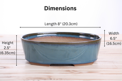 Willow Bonsai Ceramics Oval A Bonsai Pot 8 Inch – Straight‑Sided Oval Ceramic Bonsai & Succulent Planter, High‑Fired Frost‑Proof Stoneware with Drainage & Wiring Holes, Handmade in USA (Peacock 2025)